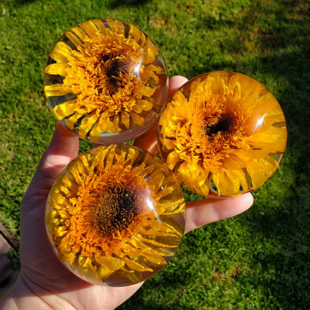 Sunflower Preserved Epoxy Paperweight