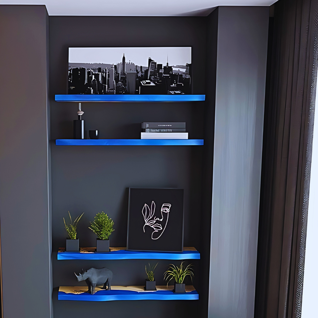 Epoxy Resin Realm Shelves