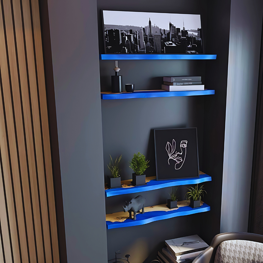 Epoxy Resin Realm Shelves