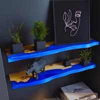 Epoxy Resin Realm Shelves thumbnail