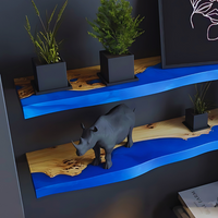 Epoxy Resin Realm Shelves thumbnail