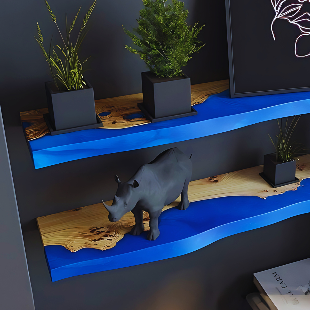 Epoxy Resin Realm Shelves
