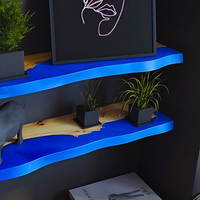 Epoxy Resin Realm Shelves thumbnail