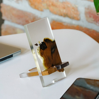 Applewood Epoxy Phone Stand thumbnail