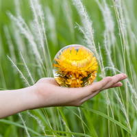 Sunflower Preserved Epoxy Paperweight thumbnail