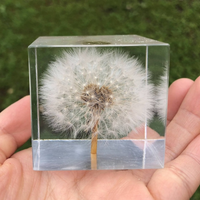 Dandelion Epoxy Paperweight thumbnail