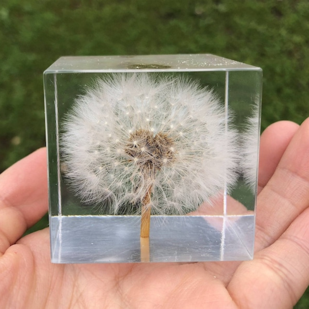 Dandelion Epoxy Paperweight