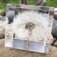 Dandelion Epoxy Paperweight thumbnail