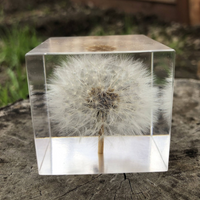 Dandelion Epoxy Paperweight thumbnail