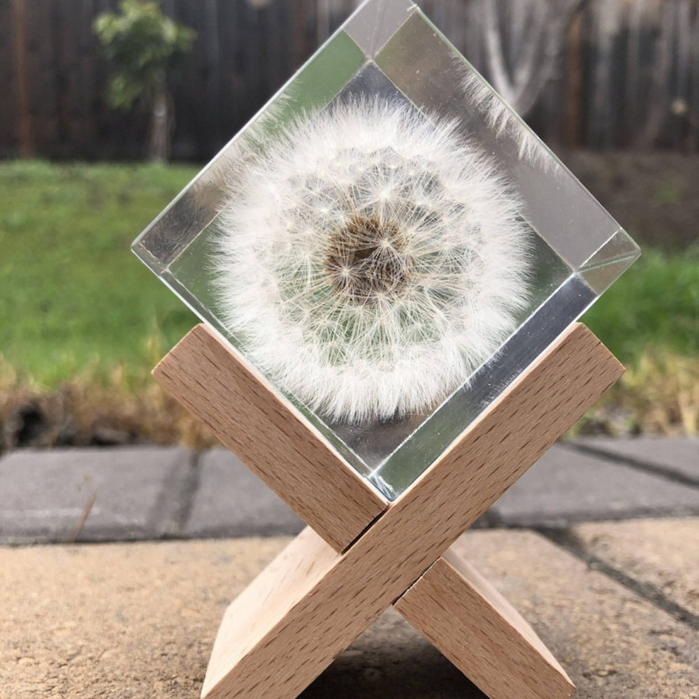 Dandelion Epoxy Paperweight