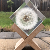 Dandelion Epoxy Paperweight thumbnail