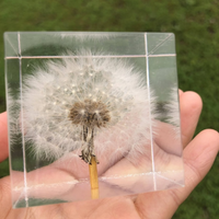 Dandelion Epoxy Paperweight thumbnail
