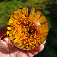 Sunflower Preserved Epoxy Paperweight thumbnail