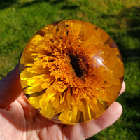 Sunflower Preserved Epoxy Paperweight thumbnail