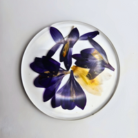 Preserved Real Flowers Coasters thumbnail