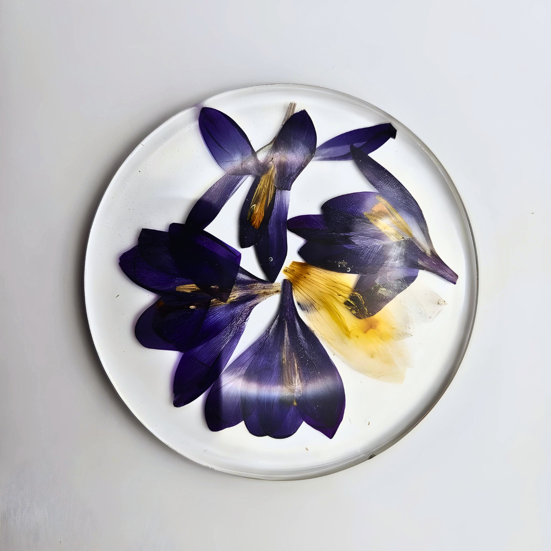 Preserved Real Flowers Coasters