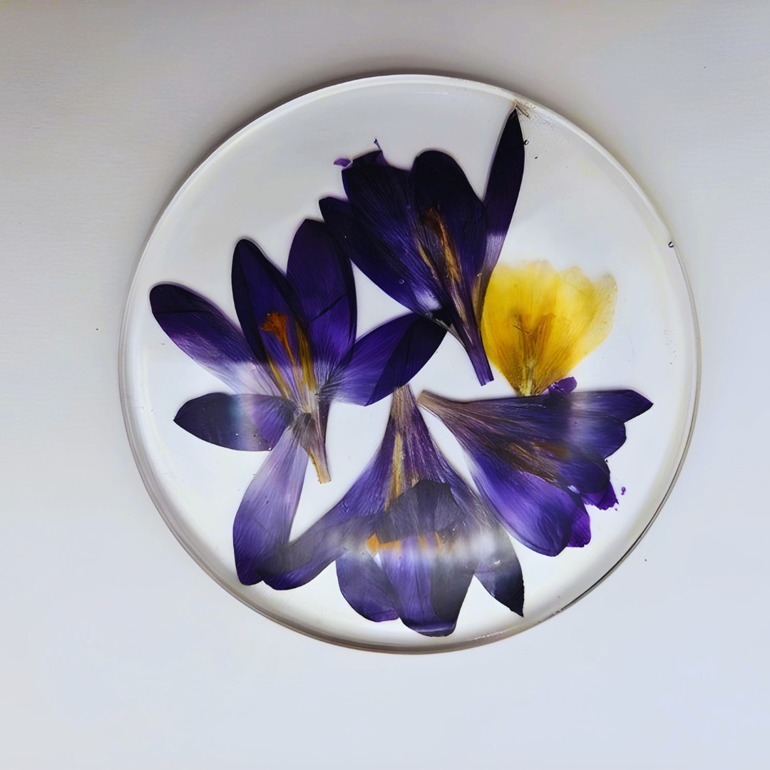 Preserved Real Flowers Coasters