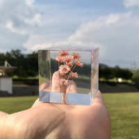 Pink Mini Daisy Epoxy Paper Weight thumbnail