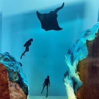 Manta Rays Couple Divers Epoxy Night light thumbnail
