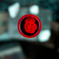 Deadly Red Roses 6 Inch Shift Knob thumbnail