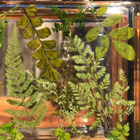 Botanical Bliss Epoxy Clutch thumbnail